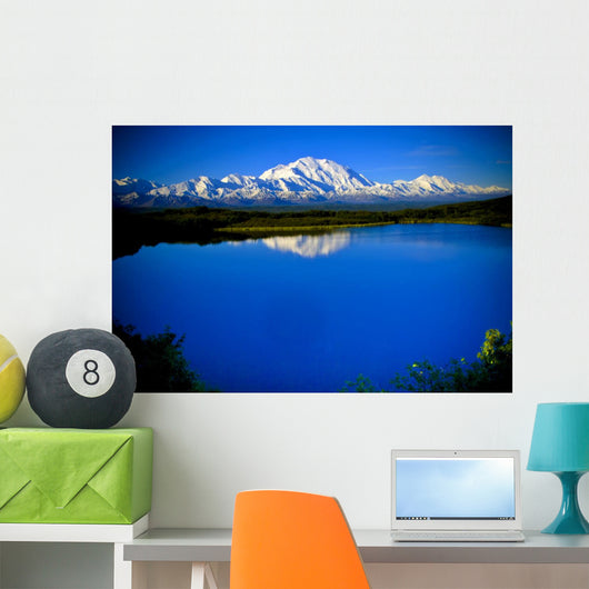 Mt. McKinley from Reflection pond Wall Mural