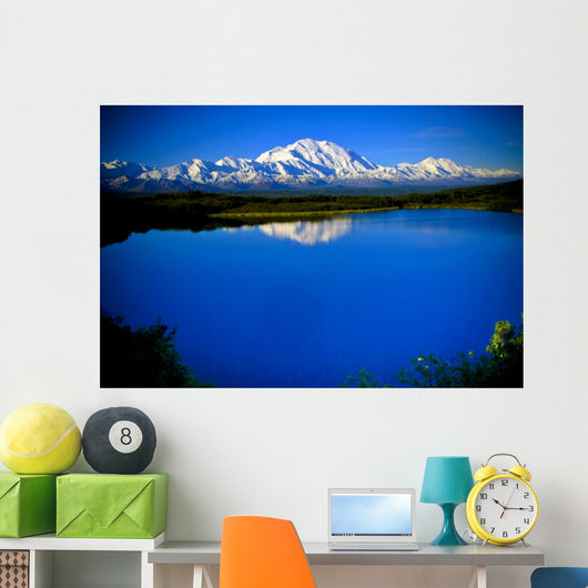 Mt. McKinley from Reflection pond Wall Mural