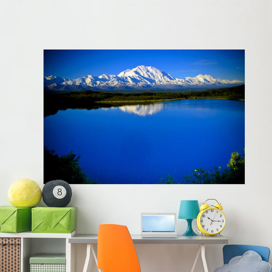 Mt. McKinley from Reflection pond Wall Mural