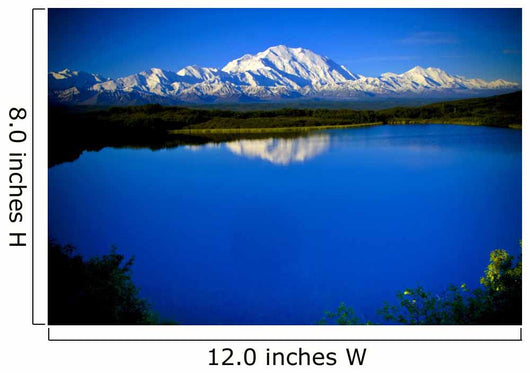 Mt. McKinley from Reflection pond Wall Mural