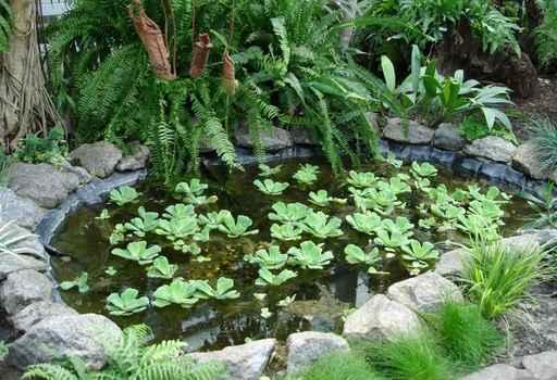 Little Lake with Green Wall Decal