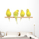 Four Yellow Budgie on Branch Wall Decal