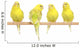 Four Yellow Budgie on Branch Wall Decal
