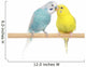 Pair of Budgerigars Wall Decal