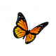 Monarch Butterfly Wall Mural