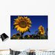 Tournesol Wall Mural