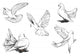 Doves silhouette Wall Decal