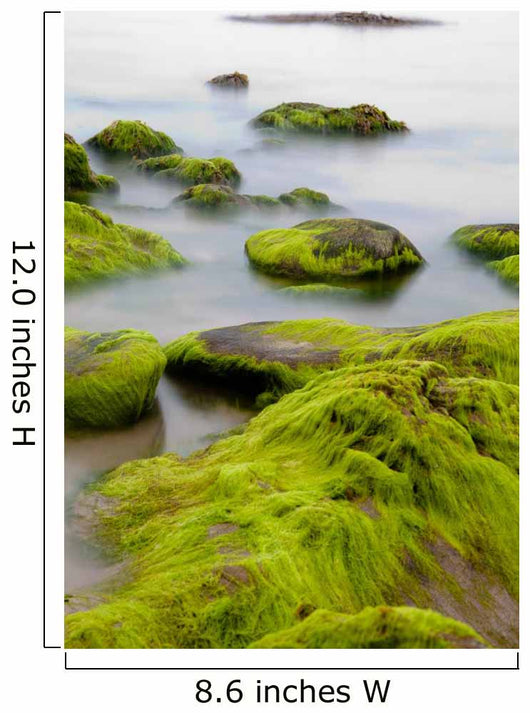 Boulders Covered with Green