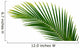 Palmenblatt Wall Decal