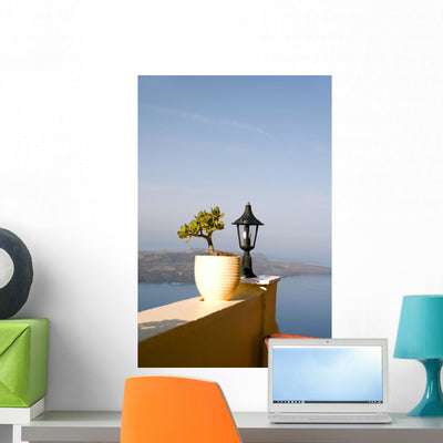 Still Life Scene with shown on a wall