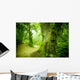 Forest Pathway Wall Mural