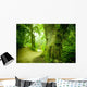 Forest Pathway Wall Mural