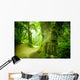 Forest Pathway Wall Mural