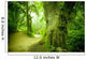 Forest Pathway Wall Mural