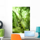 Enchanted Forest