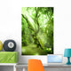 Enchanted Forest