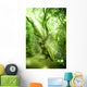 Enchanted Forest