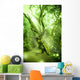 Enchanted Forest