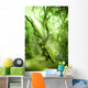 Enchanted Forest