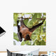 Flughund - Flying fox - Fruit bat Wall Mural