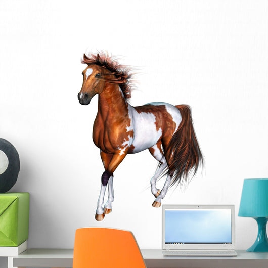 Schecke Wall Decal