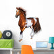 Schecke Wall Decal