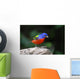 Painted Bunting Passerina Ciris Wall Mural