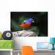 Painted Bunting Passerina Ciris Wall Mural