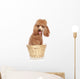 Apricot Poodle Sits in a Basket Wall Decal