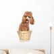 Apricot Poodle Sits in a Basket Wall Decal