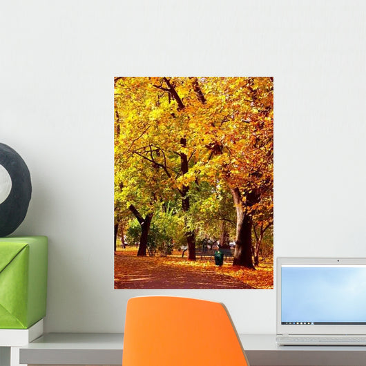 Park Alley Fall Colors Wall Decal
