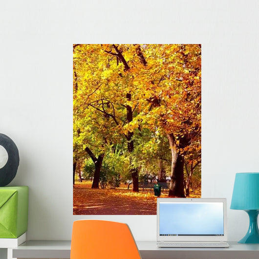 Park Alley Fall Colors Wall Decal