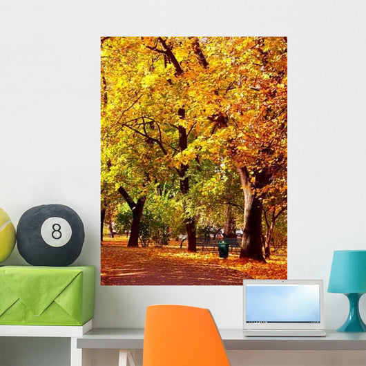 Park Alley Fall Colors Wall Decal