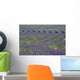 Lavender Wall Decal Design 3
