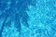 Pool 004 Wall Mural