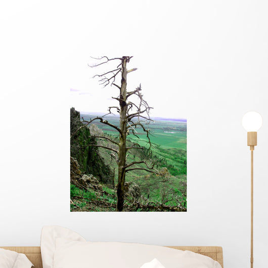 Landscape Wall Mural