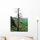 Landscape Wall Mural