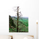 Landscape Wall Mural