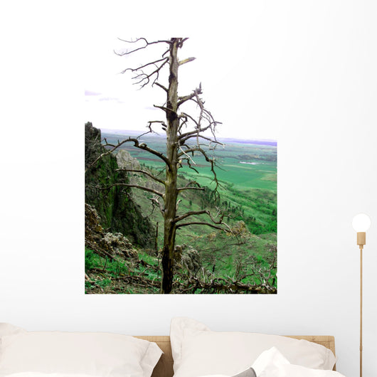 Landscape Wall Mural