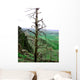 Landscape Wall Mural