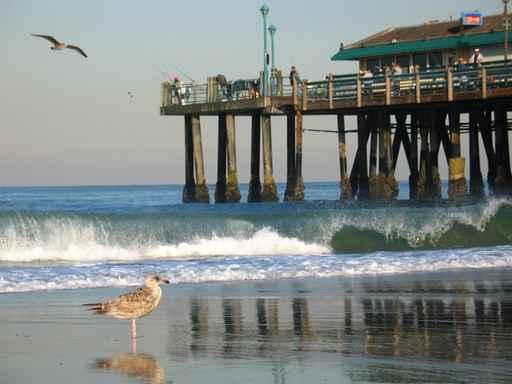 Pier Wall Decal Design 1