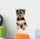 Yorkshire Terrier Puppy on White Background Wall Decal