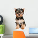 Yorkshire Terrier Puppy on White Background Wall Decal