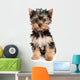 Yorkshire Terrier Puppy on White Background Wall Decal