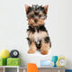 Yorkshire Terrier Puppy on White Background Wall Decal