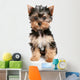 Yorkshire Terrier Puppy on White Background Wall Decal