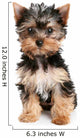 Yorkshire Terrier Puppy on White Background Wall Decal