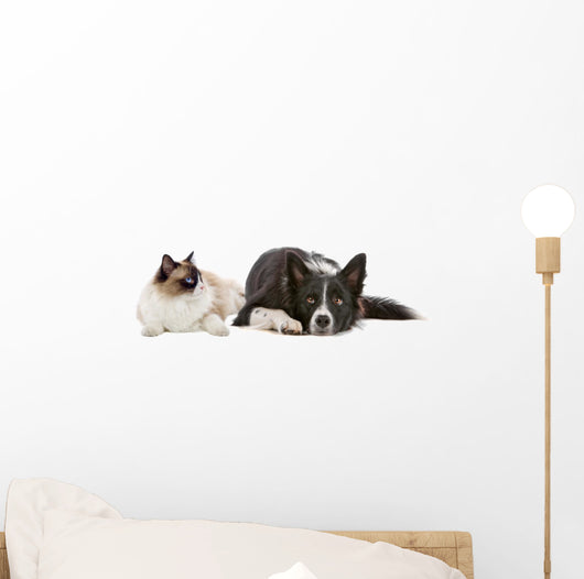 Dog and Cat Wall Decal