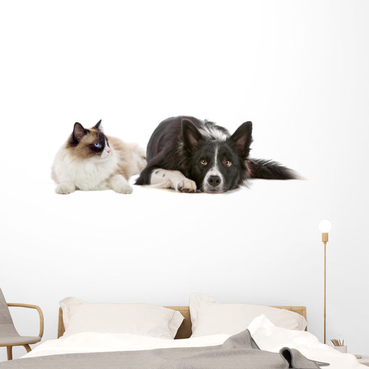 Dog and Cat Wall Decal