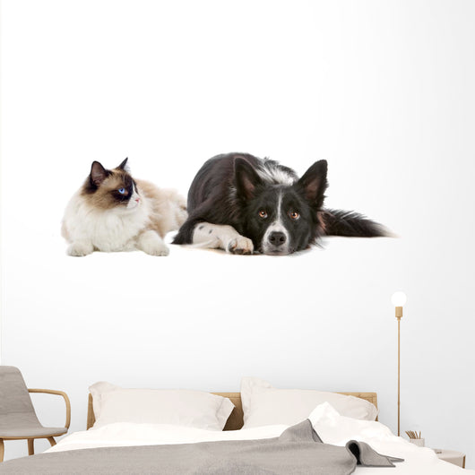 Dog and Cat Wall Decal